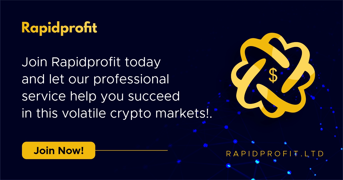 rapidprofit-3